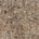 Tropical Brown
